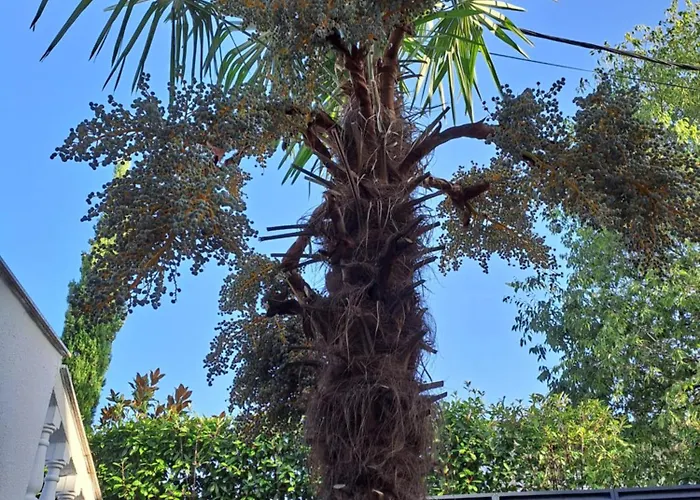 Stjepan Appartamento Malinska