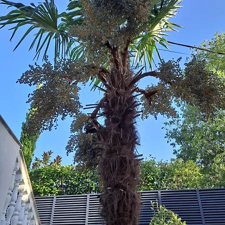 Stjepan Апартаменты Малинска